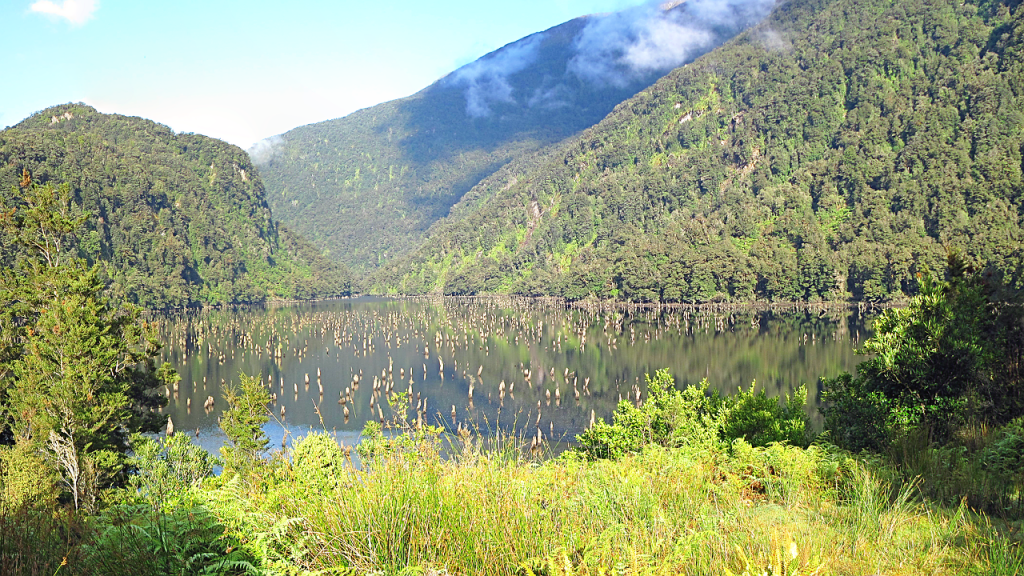 Loch Maree, down the Seaforth Valley, panorama detail