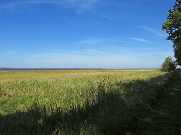 As far as the eye can see