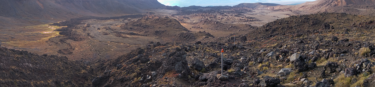 Returning to Te Ika-a-Māui