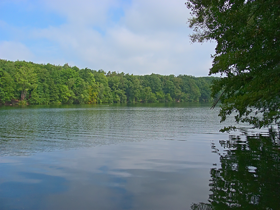 E11: Schlachtensee – Berlin-Tiergarten