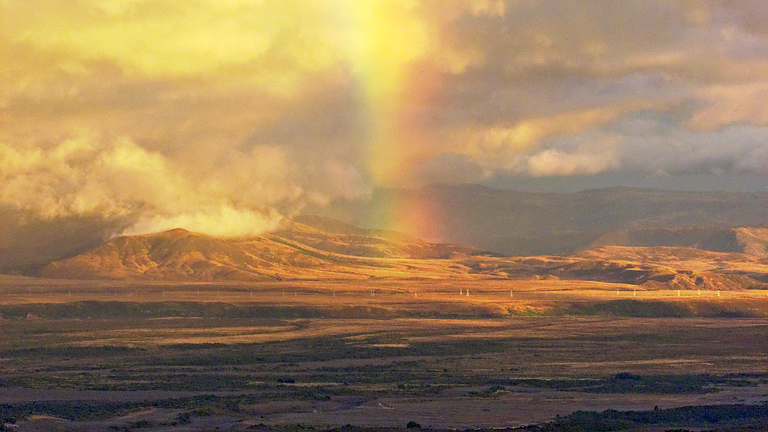 13. Waitonga Falls Carpark – Rangipo (RMT 1)