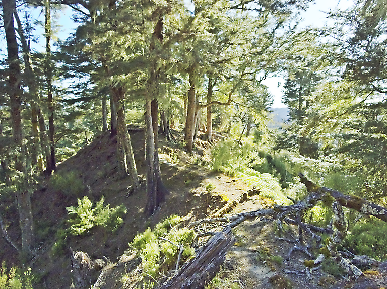 22. Trains – Puteore (TMM 2)