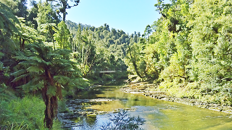 21. Waitotara Road End – Trains Hut (TMM 1)