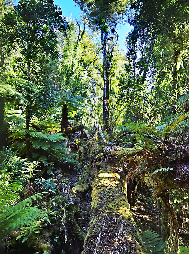 23. Puteore – Omaru (TMM 3)