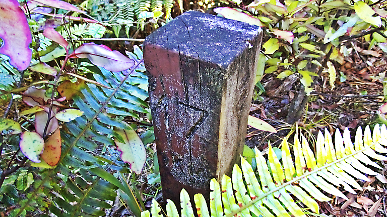 24. Omaru – Ngapurua (TMM  4)