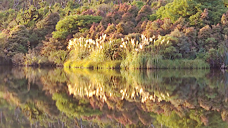 31. North Egmont – Lake Dive (AMC 1)