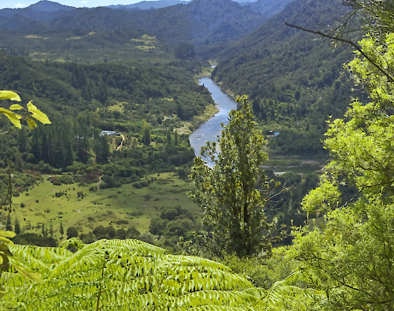 25. Ngapurua – Puketotara – Tieke Kainga (TMM 5) – Pipiriki (Jetboat)