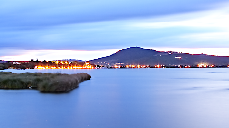 41. Rotorua: Redwoods