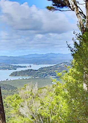 View inside the Bay of Islands